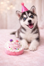 Birthday girl cake