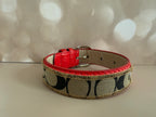 Custom Coach collar