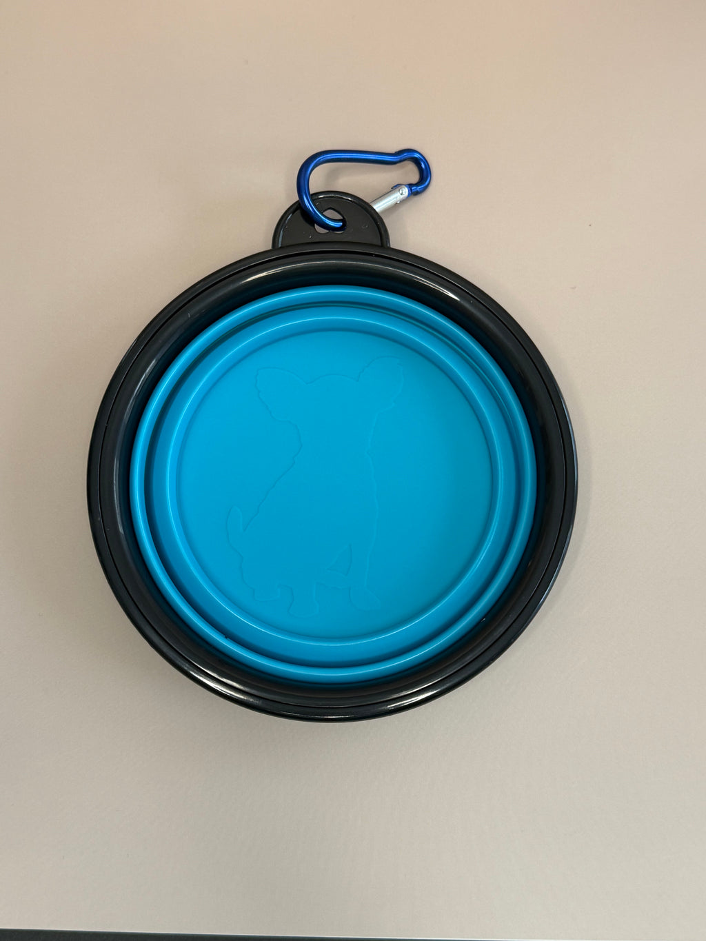 Collapsible portable bowl