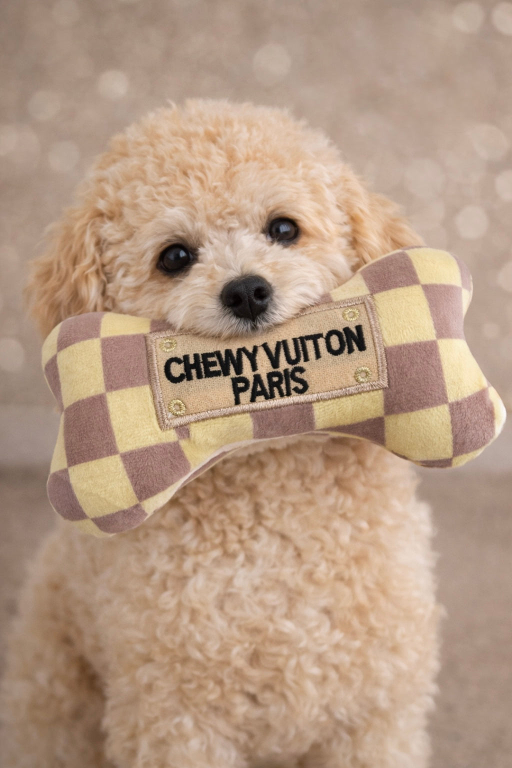 Chewy vuitton Bone