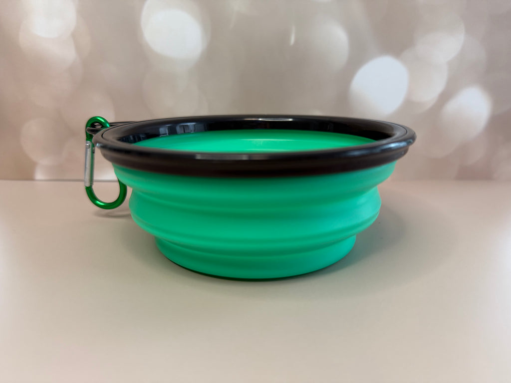 Collapsible portable bowl