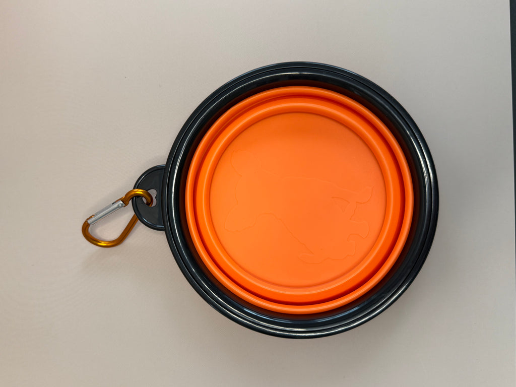 Collapsible portable bowl