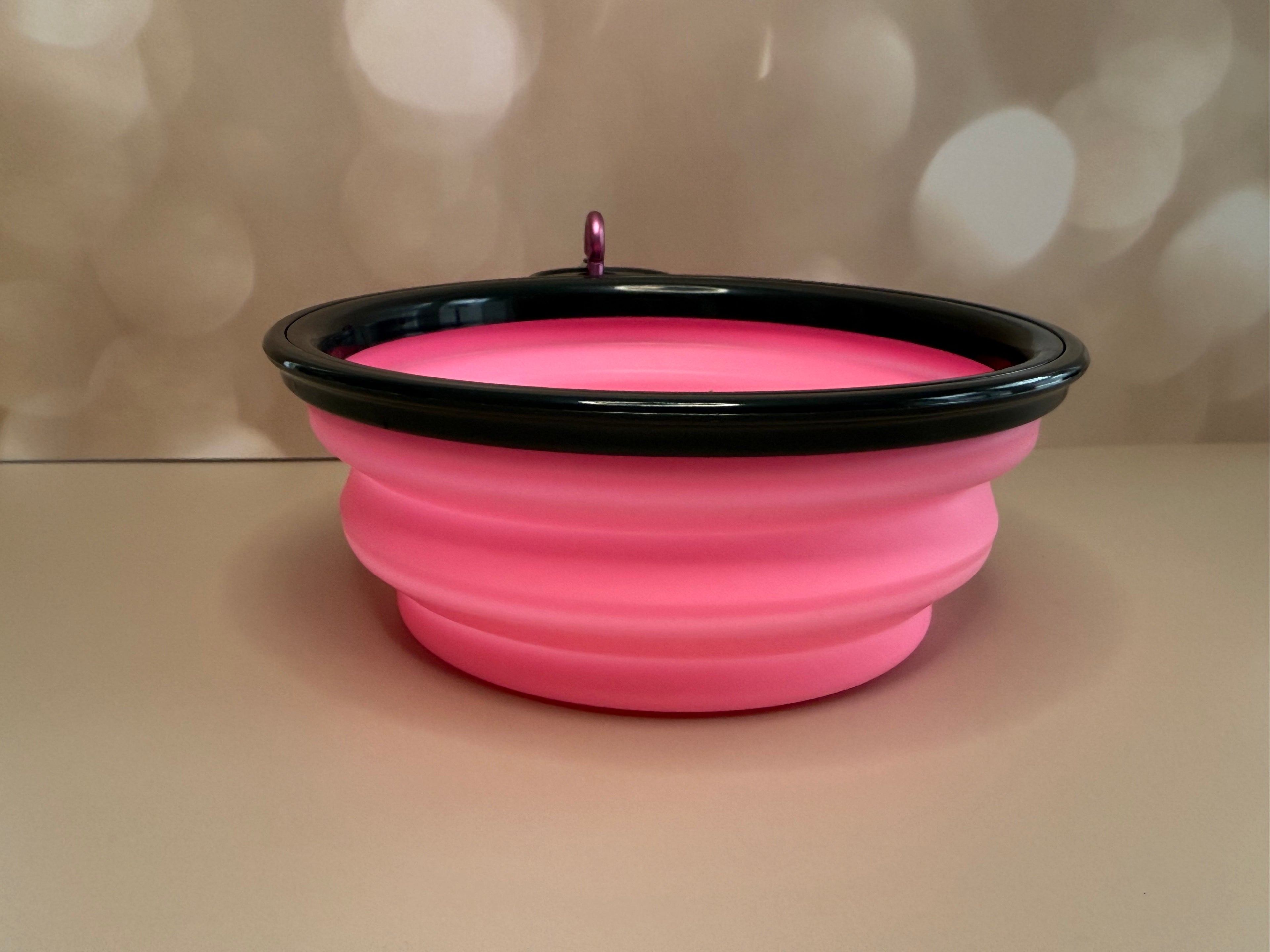 Collapsible portable bowl