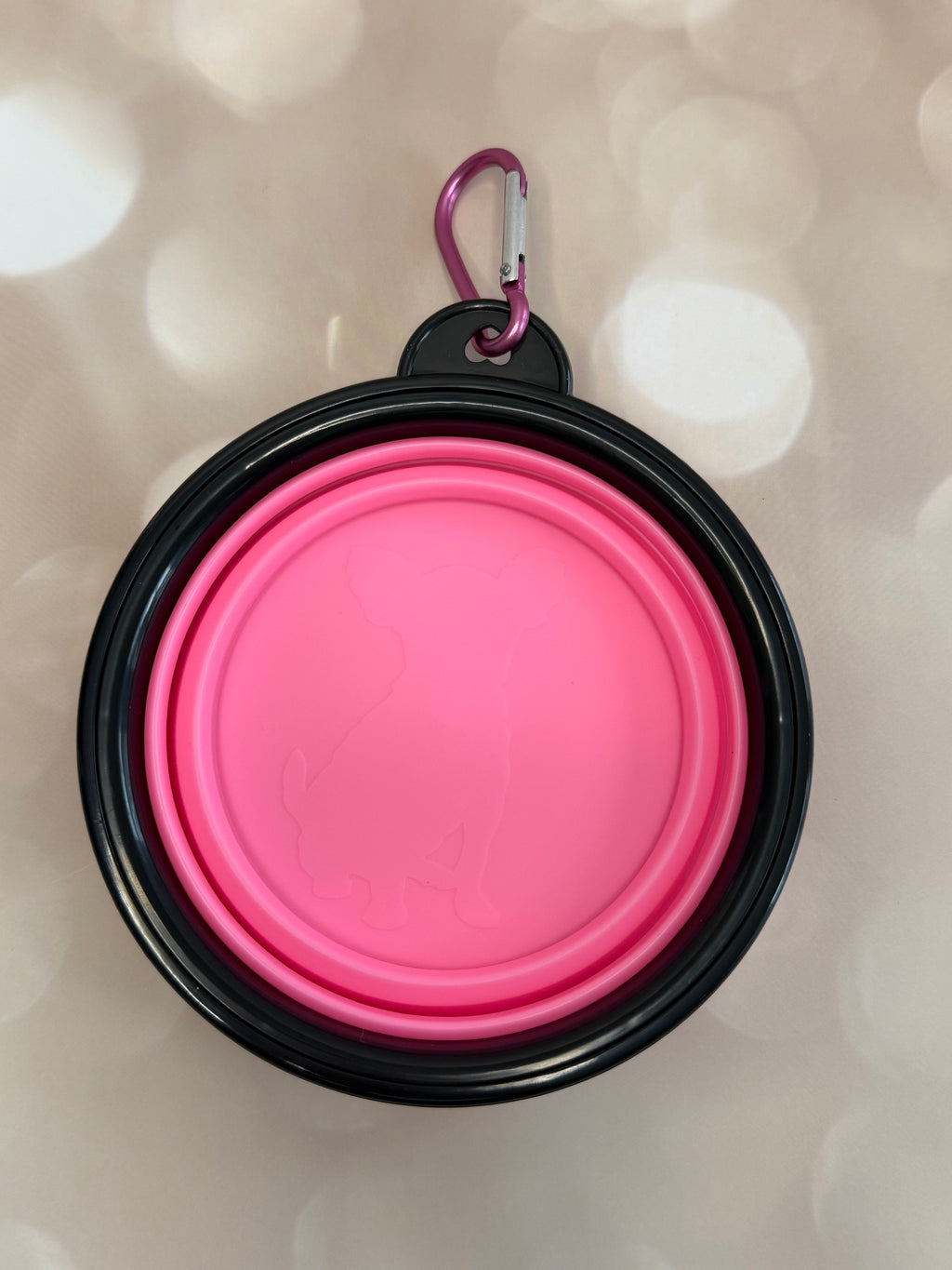 Collapsible portable bowl