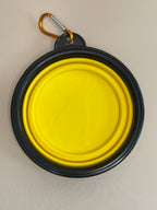 Collapsible portable bowl