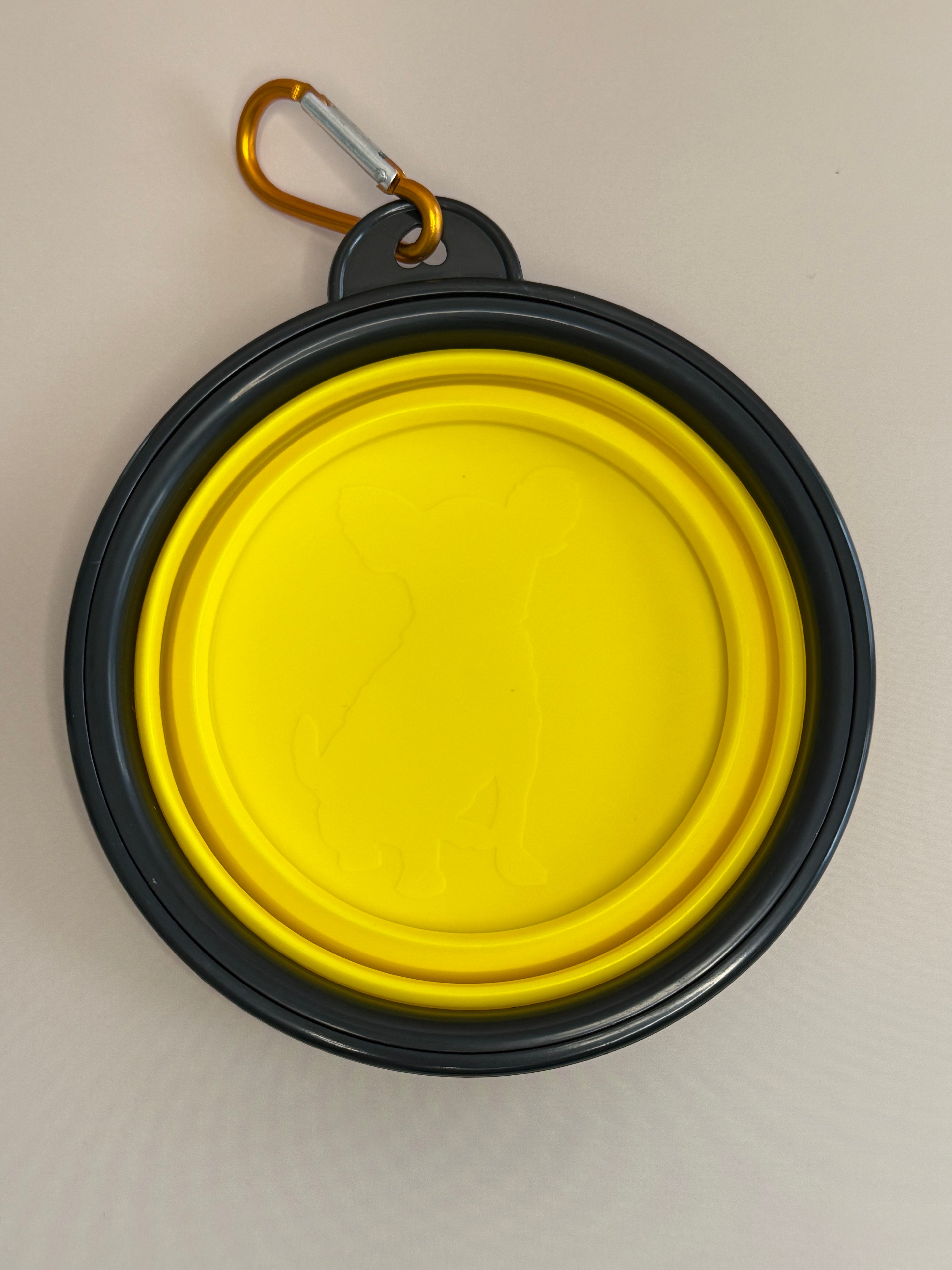 Collapsible portable bowl